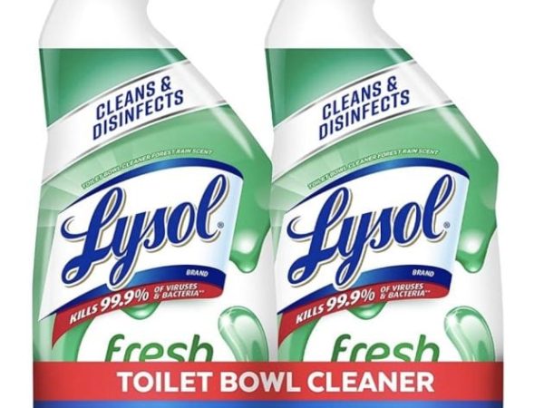 Lysol Power Toilet Bowl Cleaner (2 pack) only $3.44 shipped!